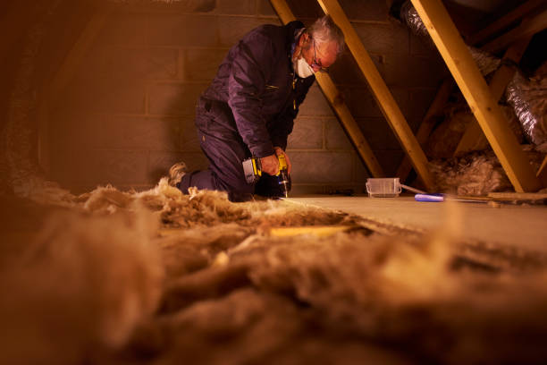 Best Insulation Installation Services in North Wilkesboro, NC